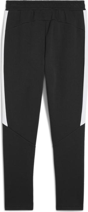 Image du produit Puma teamEVOSTRIPE Pants (XL)