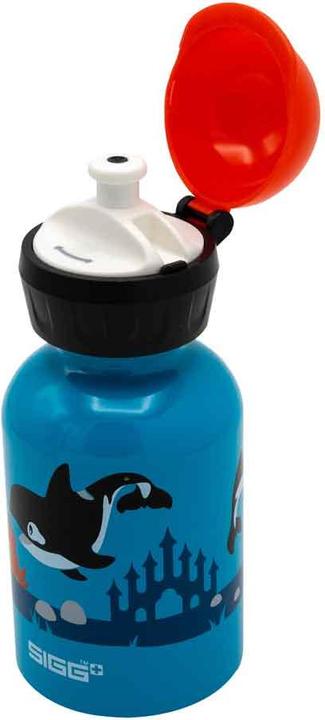 Image du produit Sigg Kbt (0.30 l)