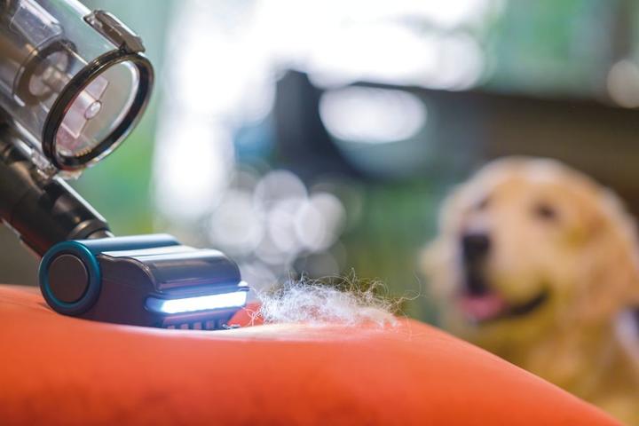 Actual product image Hoover HF9 Pets