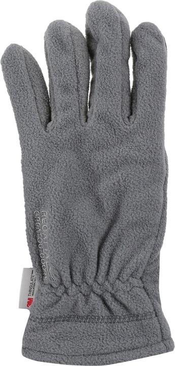 Produktbild Regatta Great Outdoors Erwachsene Kingsdale Handschuhe (L, XL)
