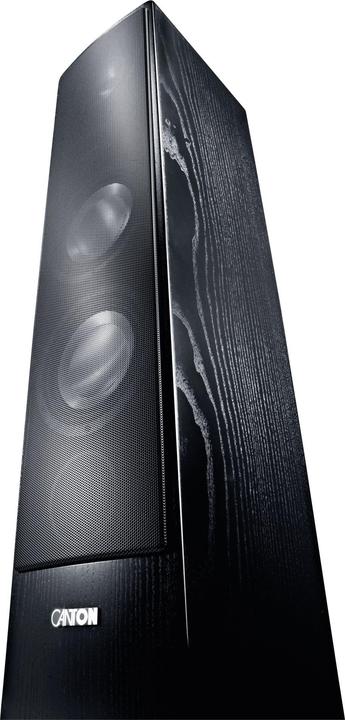 Image du produit Canton Ergo 690 DC (1 pièce)