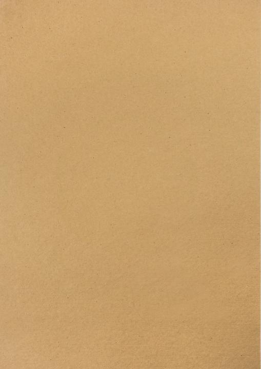 Immagine prodotto MarpaJansen Fototessera vintage "Fronda di palma", 50 x 70 cm (230 g/m², 1 x)