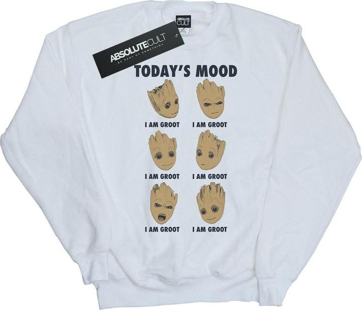 Produktbild Guardians Of The Galaxy Groot Today's Mood Sweatshirt Jungen (152, 158)