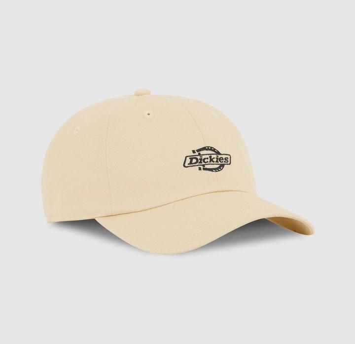 Dickies Essential Dad Cap (One Size)