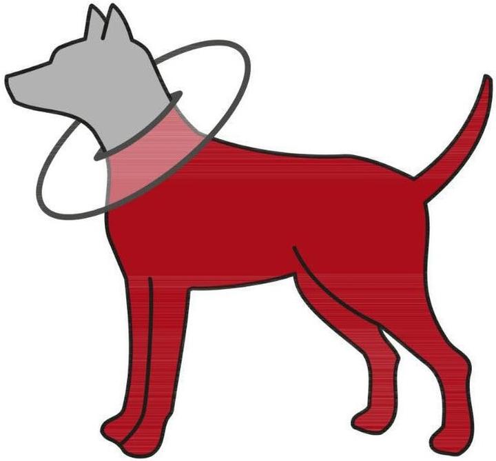 Produktbild Trixie Schutzkragen (Katze, Hund)