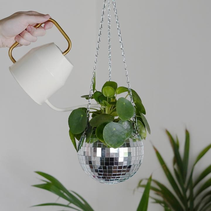 Produktbild Mags Disco Blumen