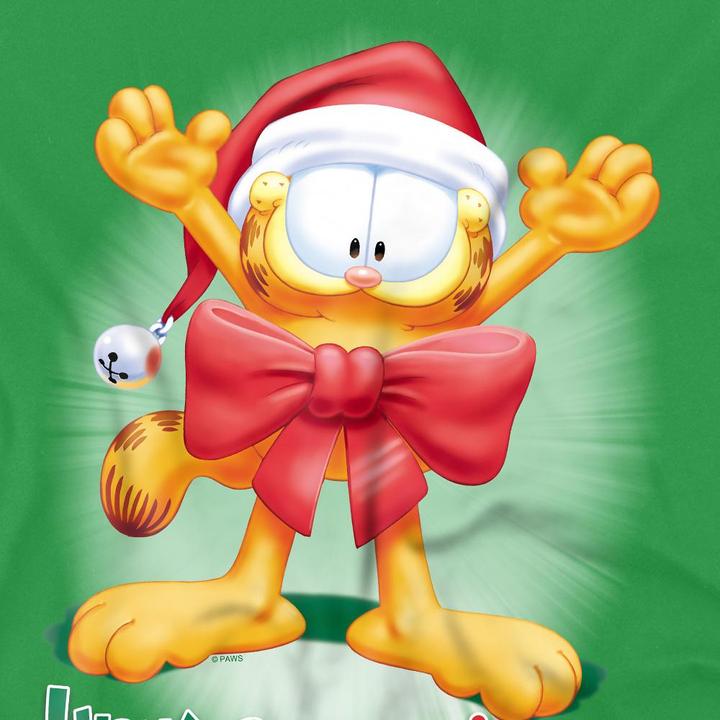 Image du produit Garfield - T-shirt UNWRAP THE JOY! - Homme (4XL)