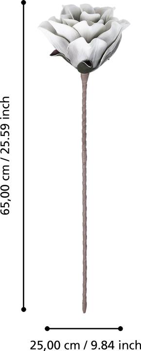 Actual product image EGLO LIVING Molave (65 cm)