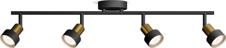 Image du produit Philips Conduit (GU10)
