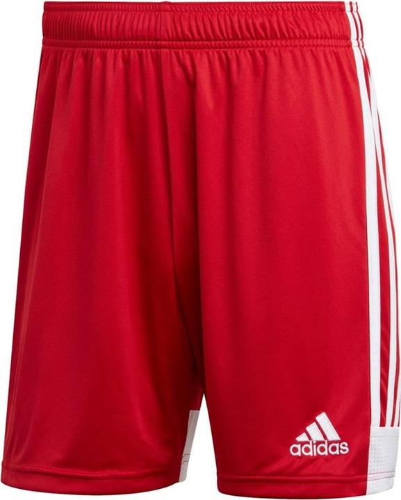 adidas Tastigo 19 Shorts (L)
