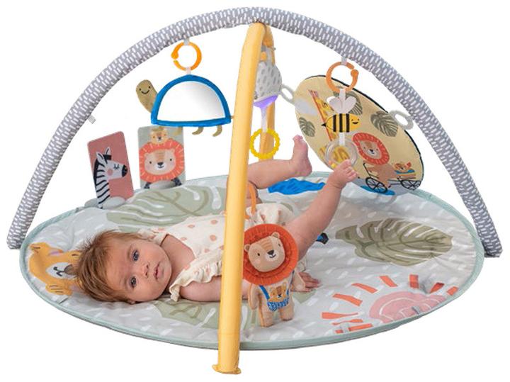 Actual product image Taf Toys Savannah