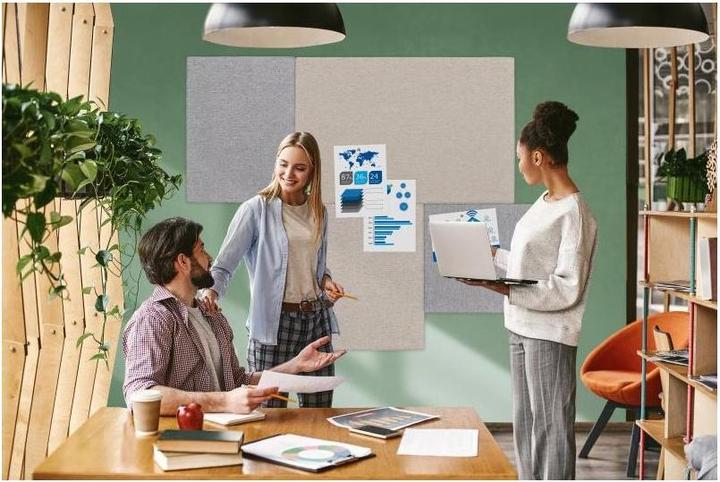 Immagine prodotto Legamaster Pinboard Board Up grigio chiaro 75 cm x 50 cm (Bacheca, 75 x 50 cm)