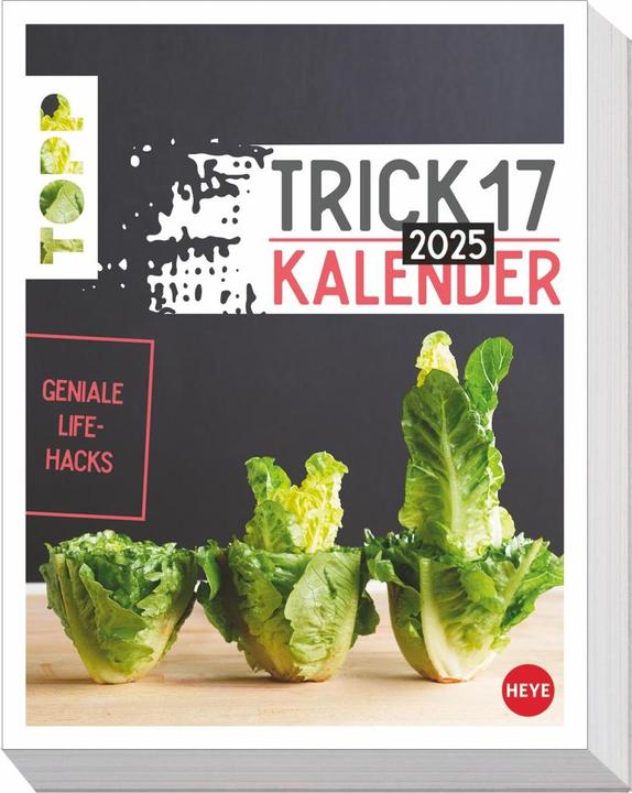 Produktbild Heye Trick 17 Tagesabreisskalender 2025 (Deutsch)