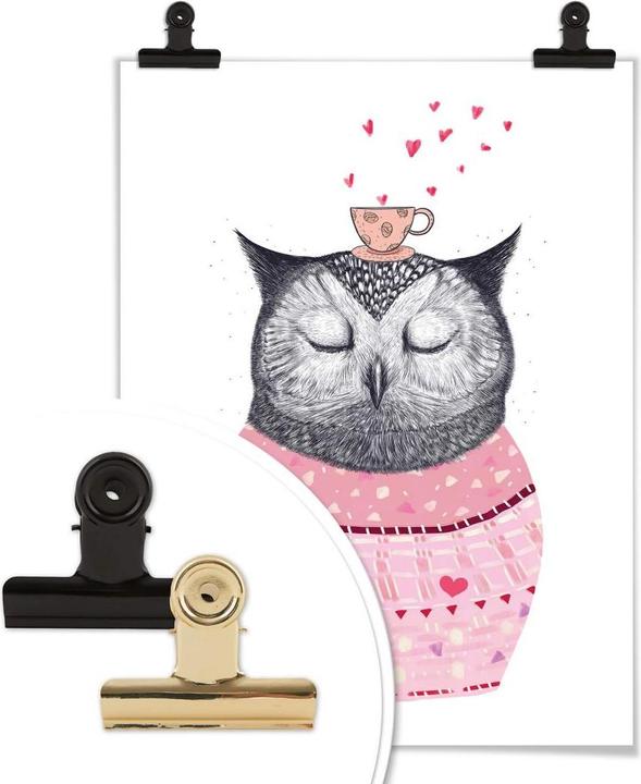 Image du produit Trenddeko Hibou amateur de café (24 x 30 cm)