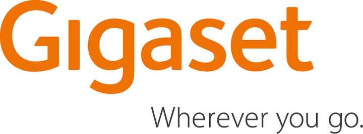 Actual product image Gigaset N720 Psu Eu