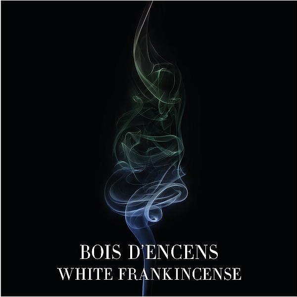 Produktbild Giorgio Armani Bois d'Encens (Eau de Parfum, 100 ml)