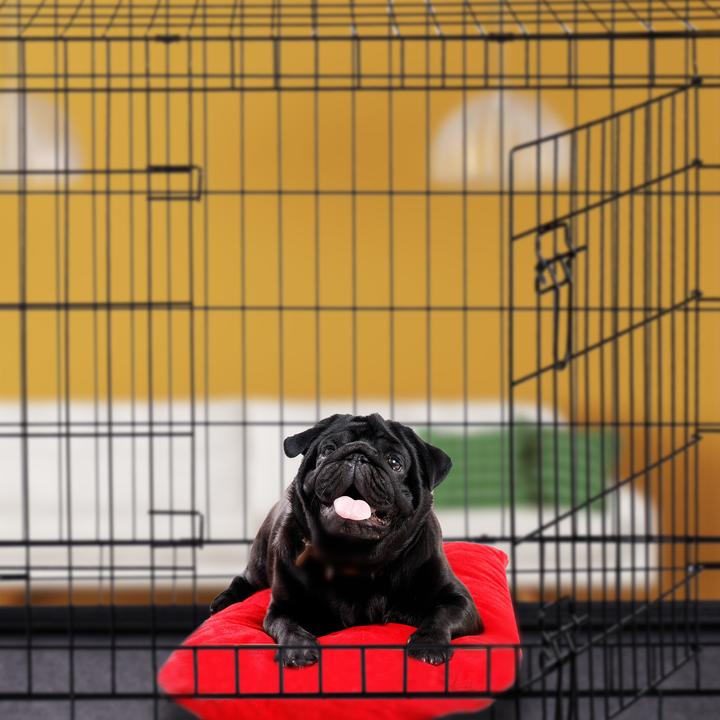 Immagine prodotto Relaxdays Gabbia pieghevole per cani misure S-XXXL (Cane, Pieghevole)