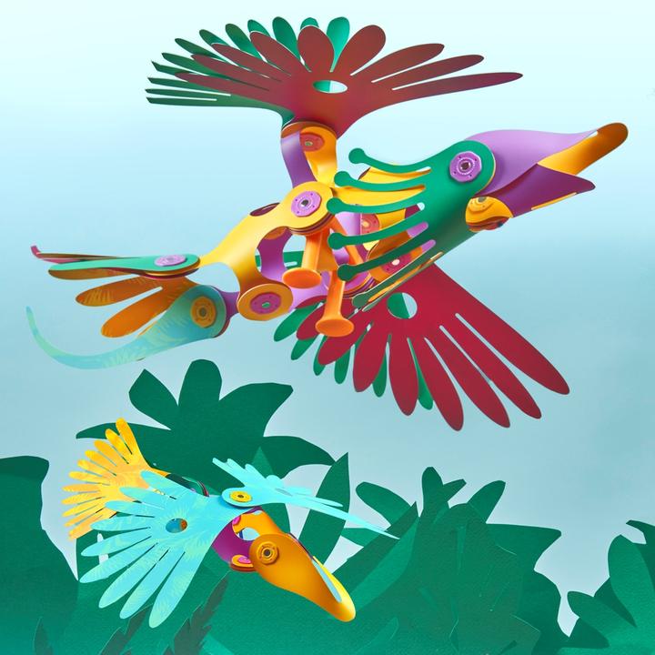 Produktbild Clixo Tropical Birds