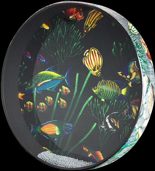 Remo Ocean (Trommel)