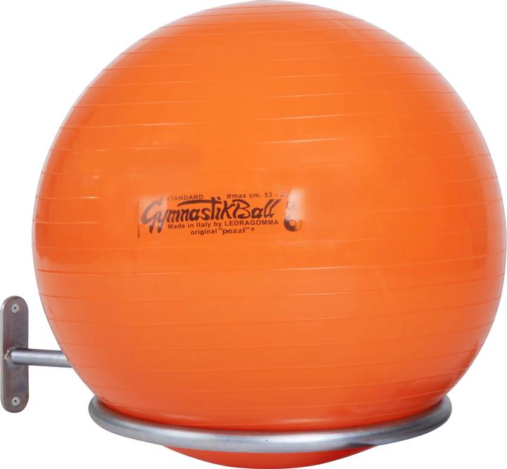Sport-Thieme Support mural pour ballon de gymnastique monoballe