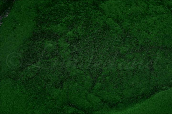 Immagine prodotto Lunderland Clorella del sole (Adulto, 1 pz., 100 g)