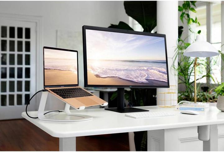 Actual product image TwelveSouth Curve SE