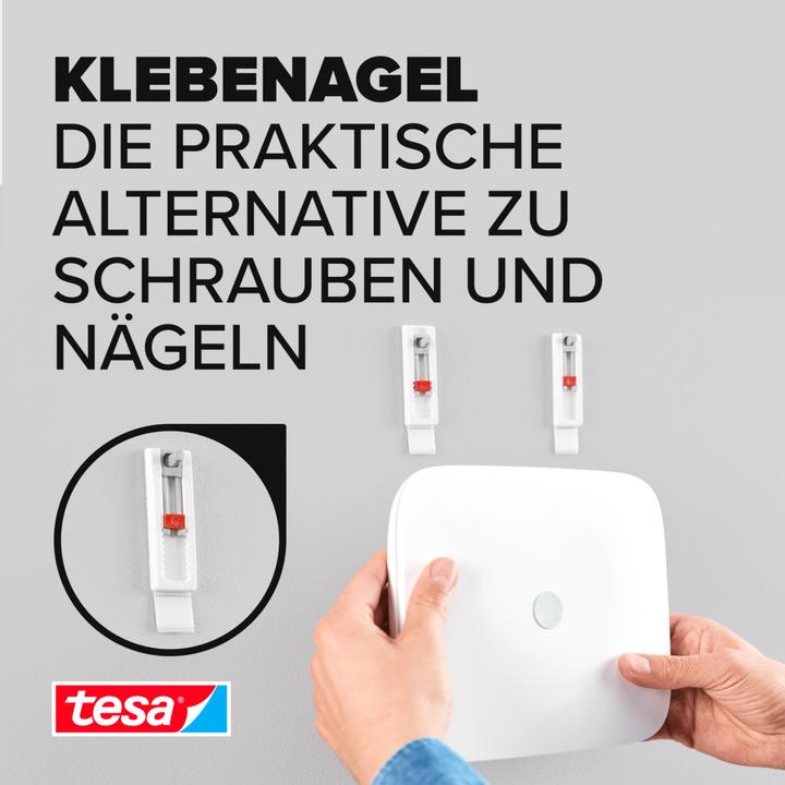 Immagine prodotto tesa Chiodo adesivo per router