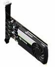 Actual product image Lenovo NVIDIA T1000 HP (4 GB)