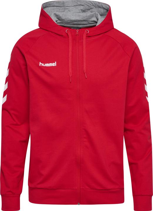 Actual product image hummel Hmlgo Cotton Hooded Jacket Men (S)