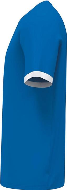 Image du produit Erima LIBERO 125 Jersey (128)