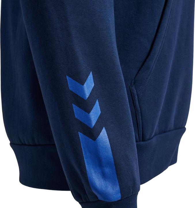 Actual product image hummel hmlACTIVE Hoodie Men (M)