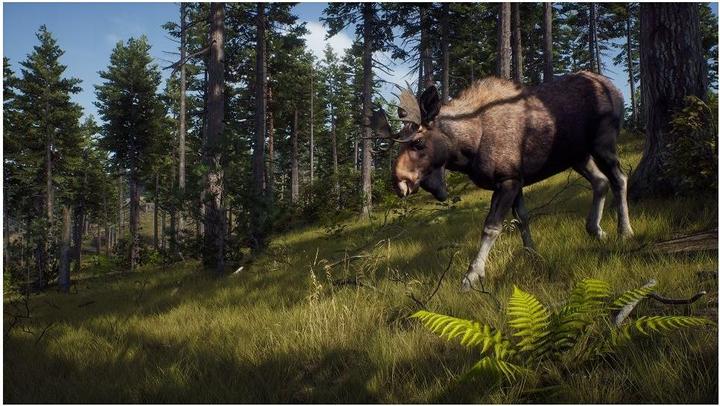 Immagine prodotto THQ La via del cacciatore - Stagione di caccia 1 (Xbox Series X, EN)