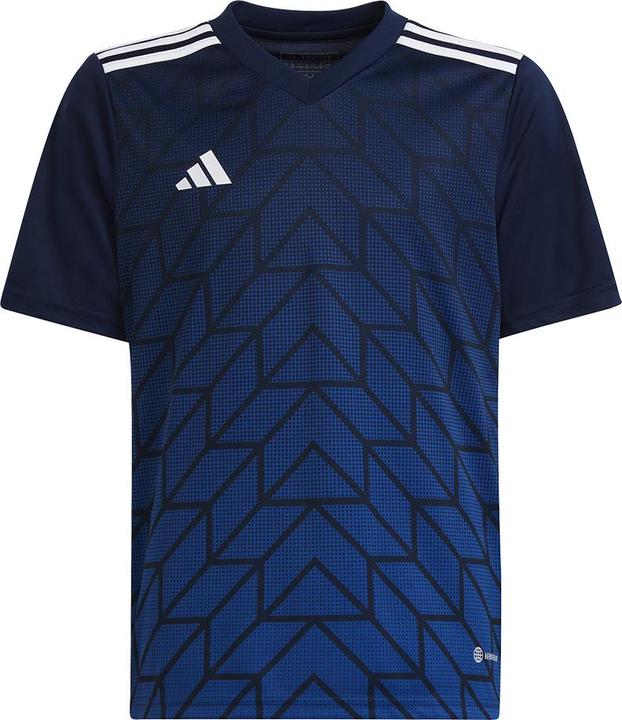 Actual product image adidas Team Icon 23 Jersey (176)