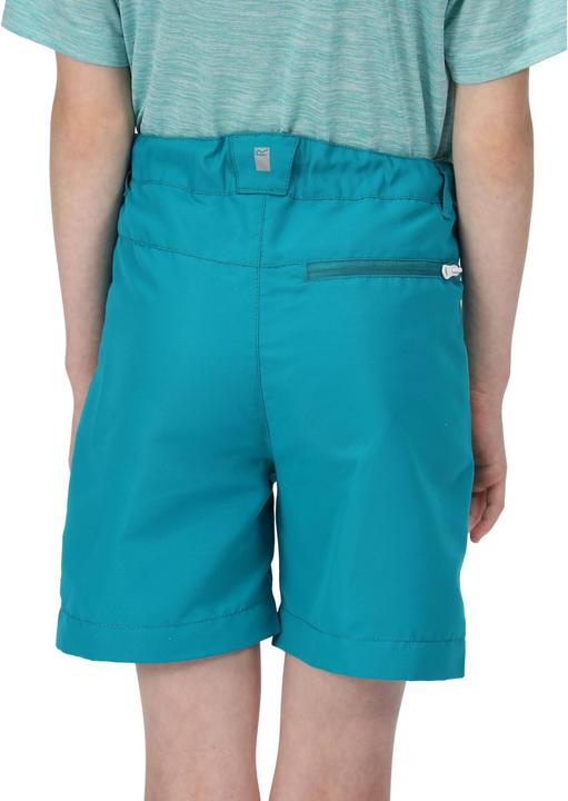 Actual product image Regatta Sorcer Ii Shorts (128)
