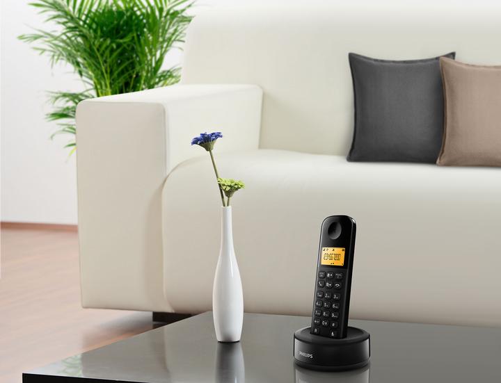 Produktbild Philips Wireless Phone D1601B/34 1,6 300 mAh GAP Black
