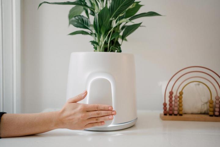 Image du produit Vitesy Natede Smart (20 m²)