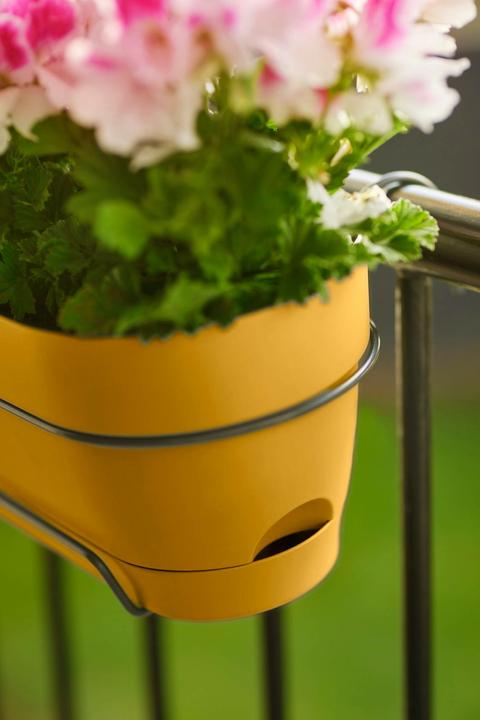 Immagine prodotto Elho Vibia Campana Balcony Box Allin1 (26 cm)
