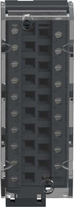 Actual product image Schneider Electric Terminal block 20-pole terminal connection