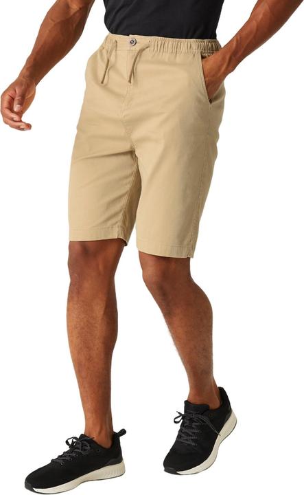 Produktbild Regatta Aldan Shorts (40)