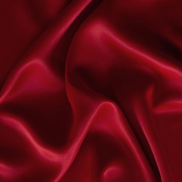 Immagine prodotto Eurofirany Zas (135 x 270 cm)