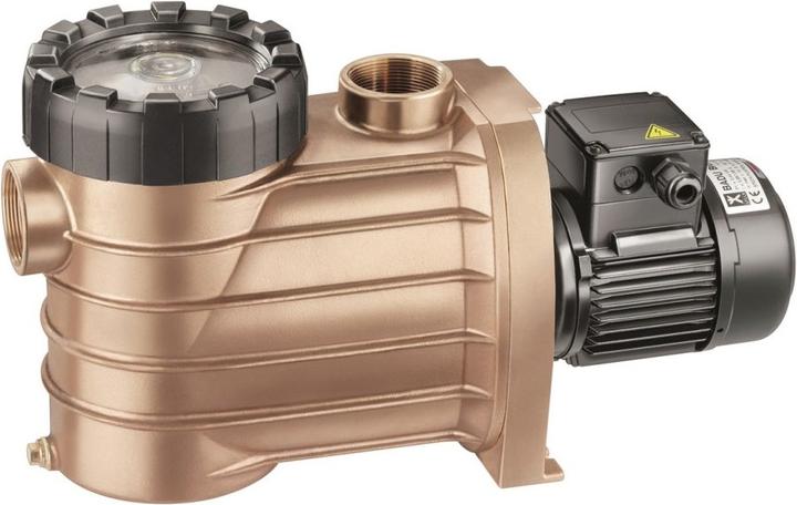 Immagine prodotto Speck Pumpen Pompa Badu Bronze 25 1.30kW 400V Gbz 10