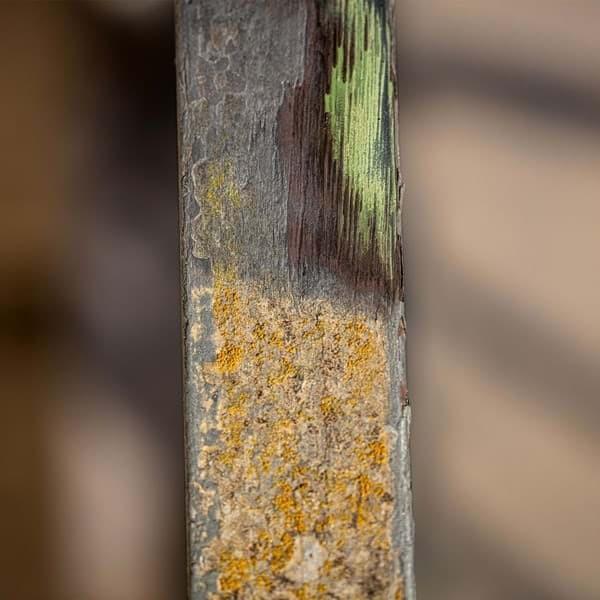 Produktbild Scheppach Metalldrahtbürste