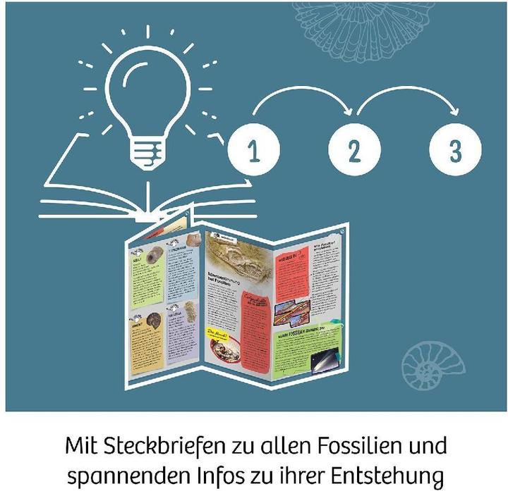 Produktbild Kosmos Fossilien