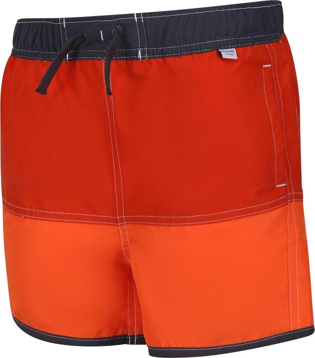 Actual product image Regatta Childrens/Kids Sergio Swim Shorts (140)