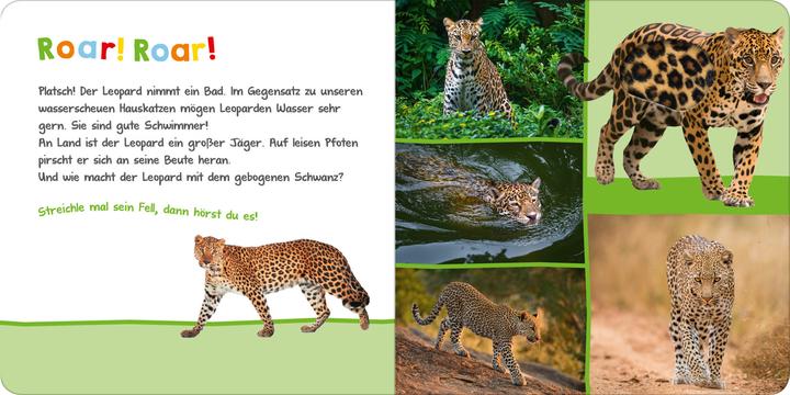 Actual product image Hör mal rein, wer kann das sein? Im Dschungel (German, 2018)