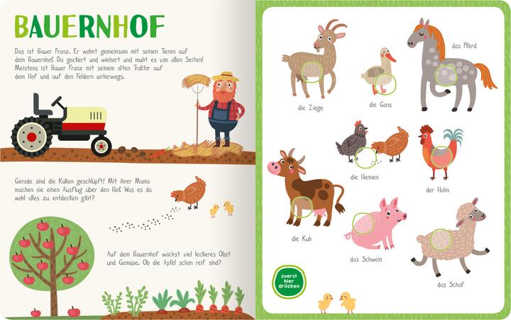 Actual product image Mein kunterbuntes Soundbuch - Tiere (German, 2019)