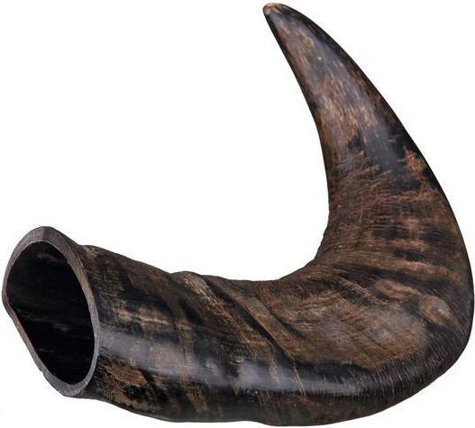 Image du produit Trixie Corne à mâcher naturelle de buffle (Adulte, 1 pcs, 0.58 g)