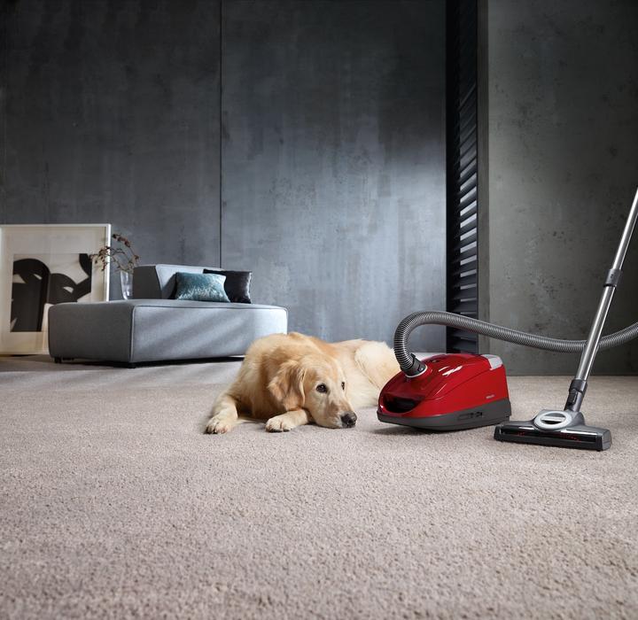 Immagine prodotto Miele Compact C2 Cat & Dog PowerLine