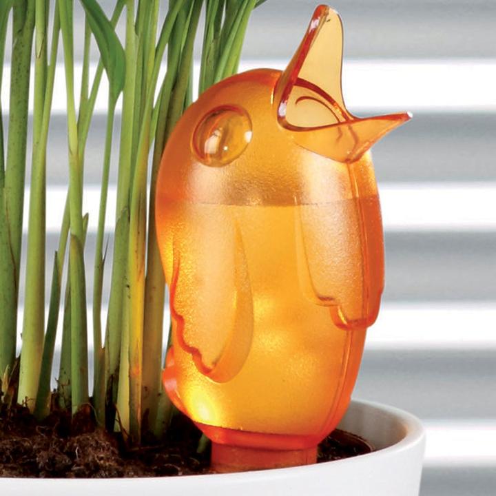 Actual product image Scheurich Bördy S (Clay cone)
