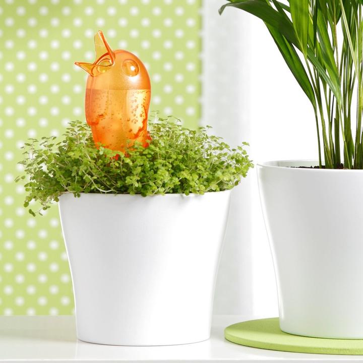 Actual product image Scheurich Bördy S (Clay cone)